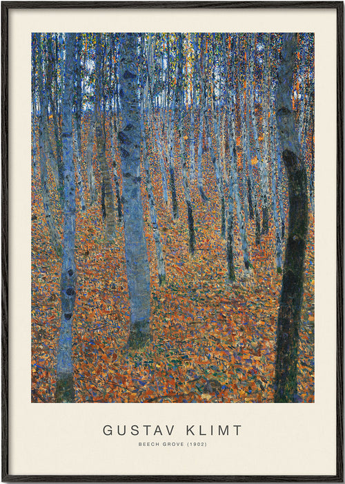 Quadro paisagem bosque de faias