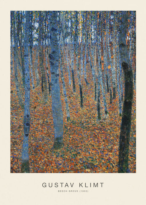 Quadro paisagem bosque de faias