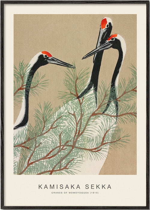 Quadro gruas japonesas entre pinheiros