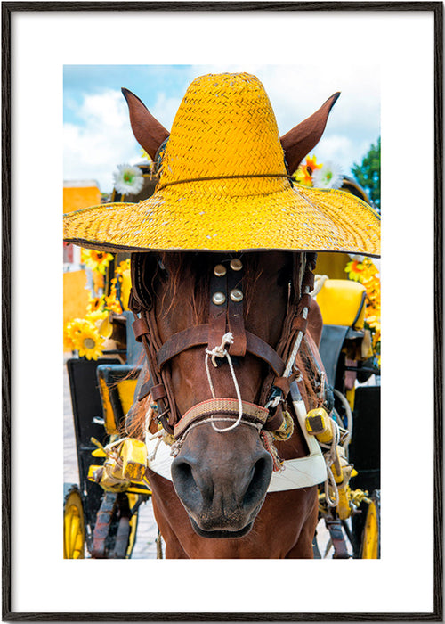 Quadro de cavalo com chapéu amarelo – Black Frame