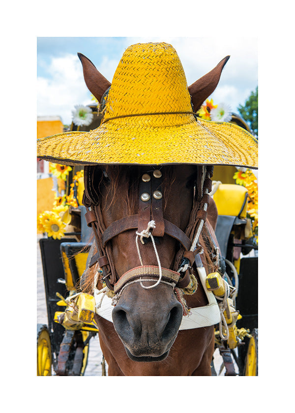 Quadro de cavalo com chapéu amarelo