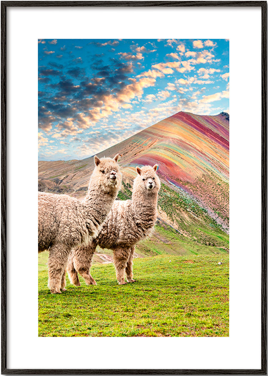 Quadro alpacas na montanha arco-íris – Black Frame