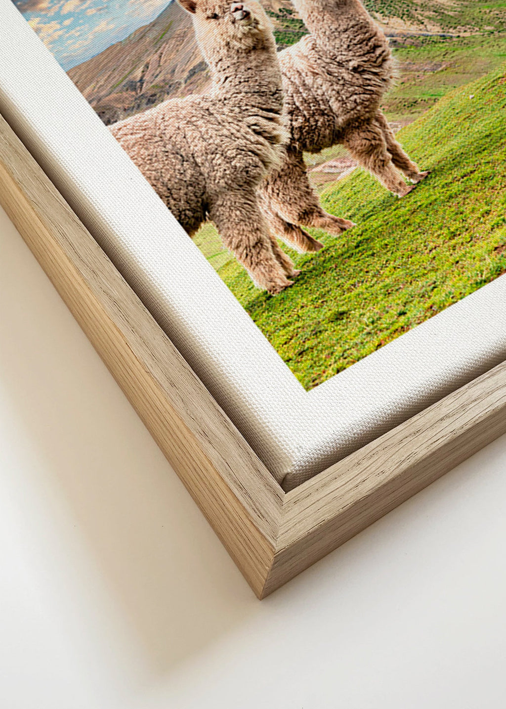 Quadro alpacas na montanha arco-íris – Canvas detail
