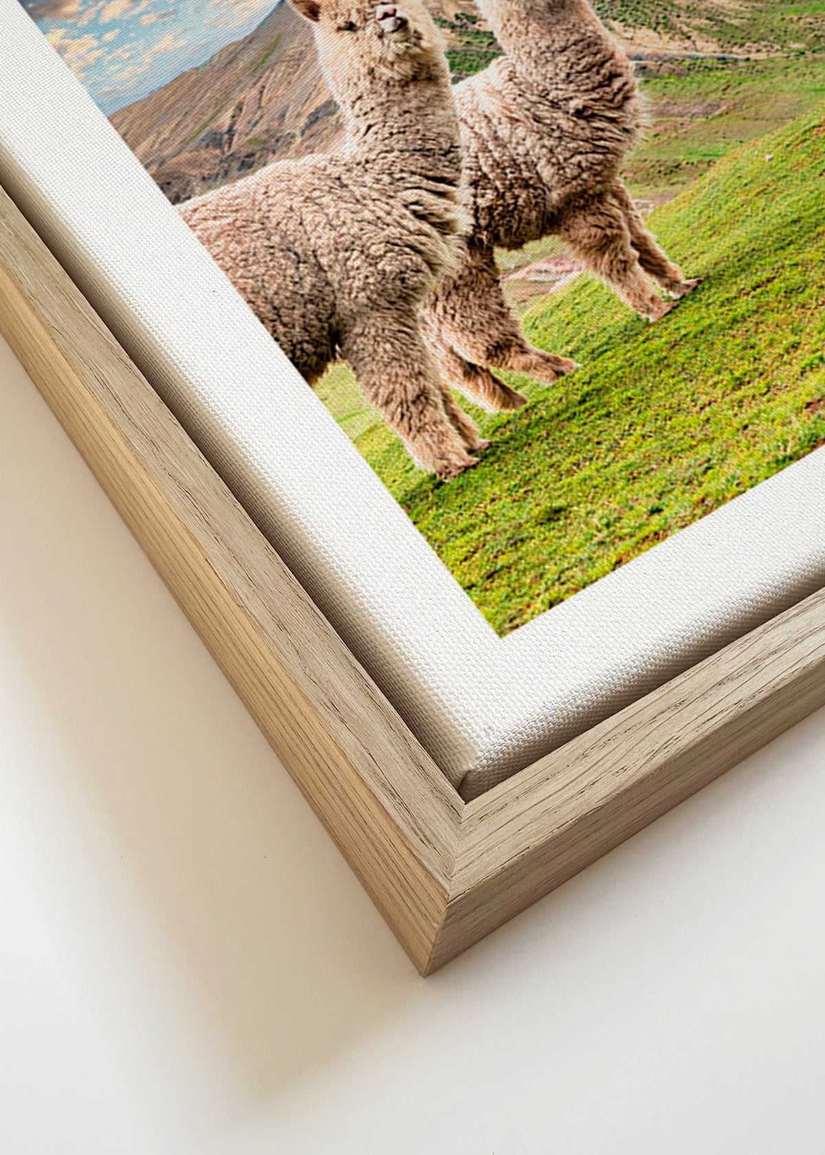 Quadro alpacas na montanha arco-íris – Canvas detail