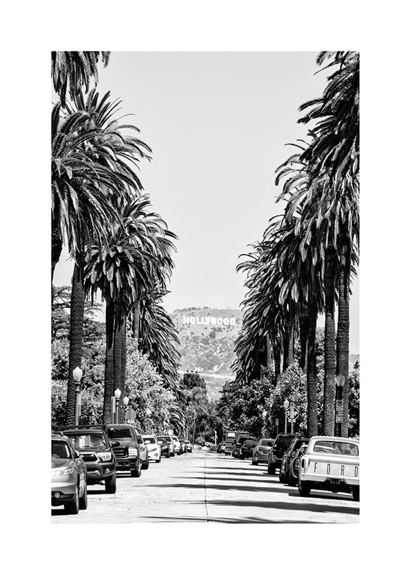 Poster de cidade Hollywood rua de palmeiras em preto e branco