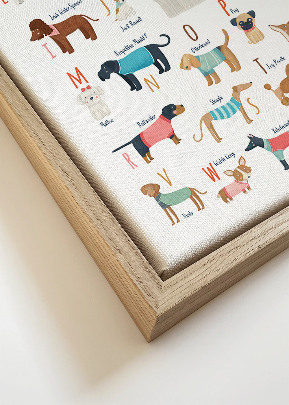 Ilustração alfabeto cães