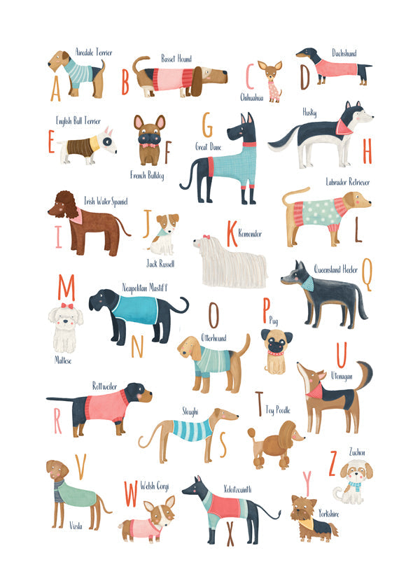 Ilustração alfabeto cães