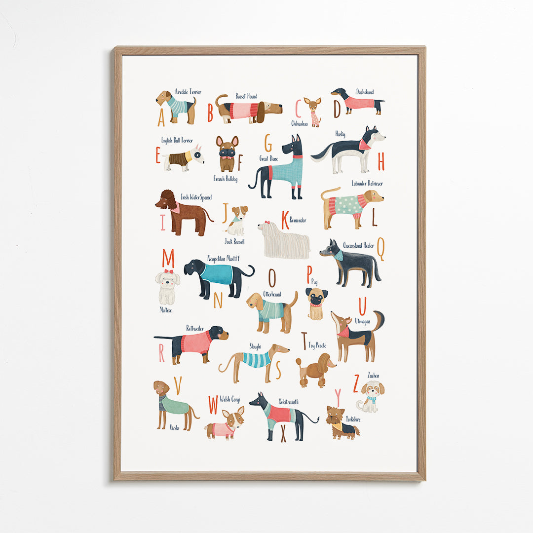Ilustração alfabeto cães