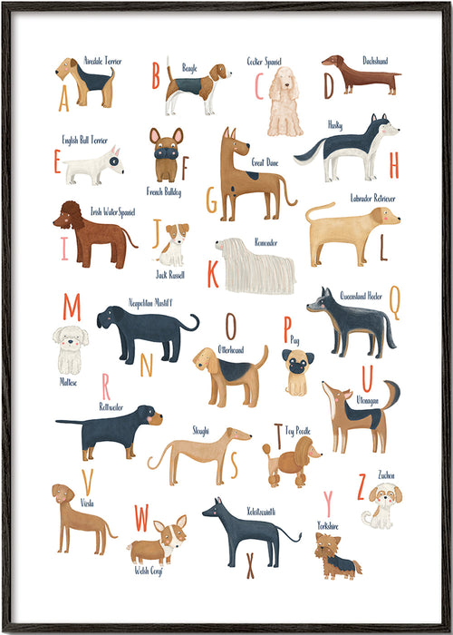 Lâmina infantil Alfabeto de cães ilustrado