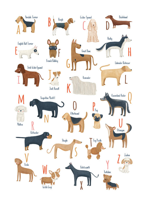 Lâmina infantil Alfabeto de cães ilustrado