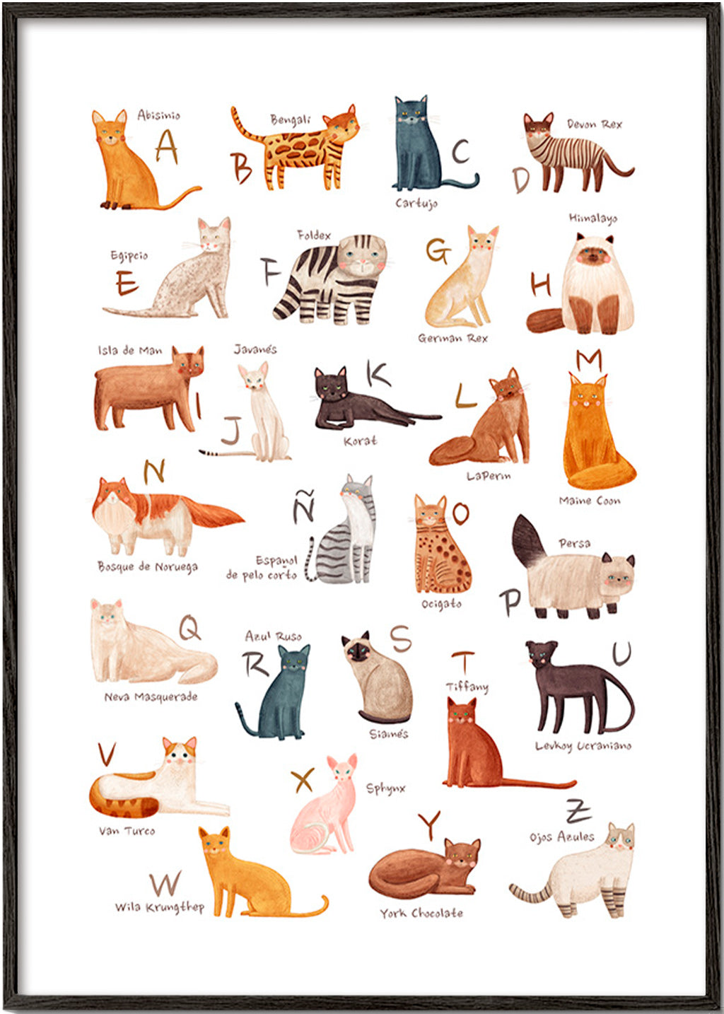 Lâmina infantil Alfabeto de gatos ilustrado
