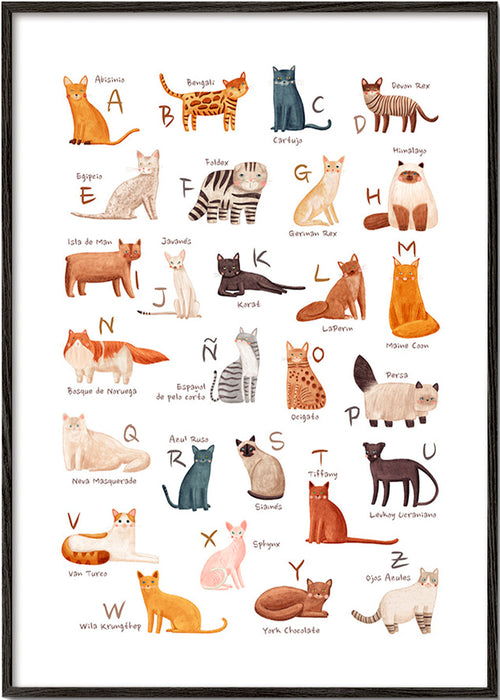 Lâmina infantil Alfabeto de gatos ilustrado