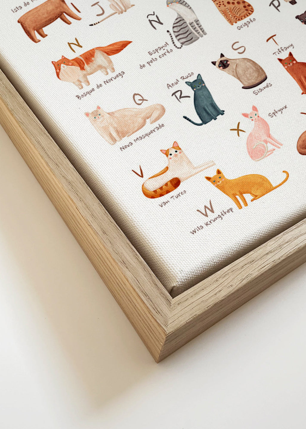 Lâmina infantil Alfabeto de gatos ilustrado