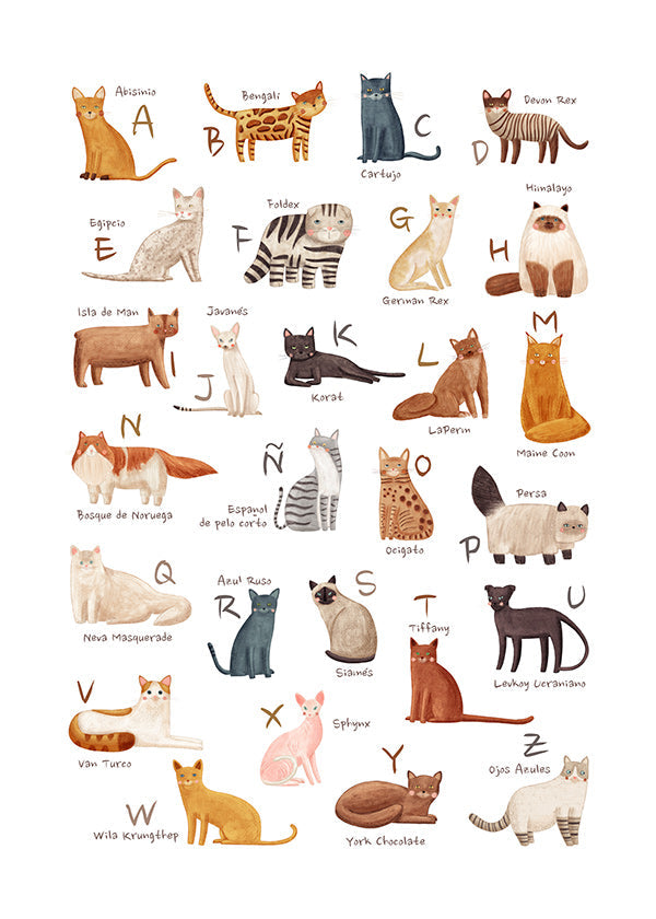 Lâmina infantil Alfabeto de gatos ilustrado