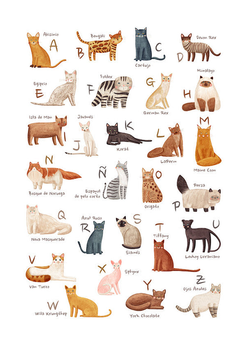 Lâmina infantil Alfabeto de gatos ilustrado