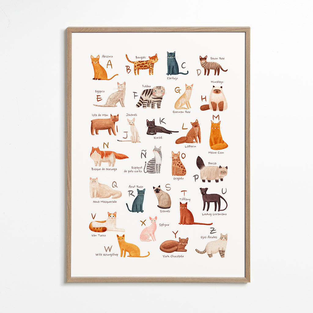 Lâmina infantil Alfabeto de gatos ilustrado