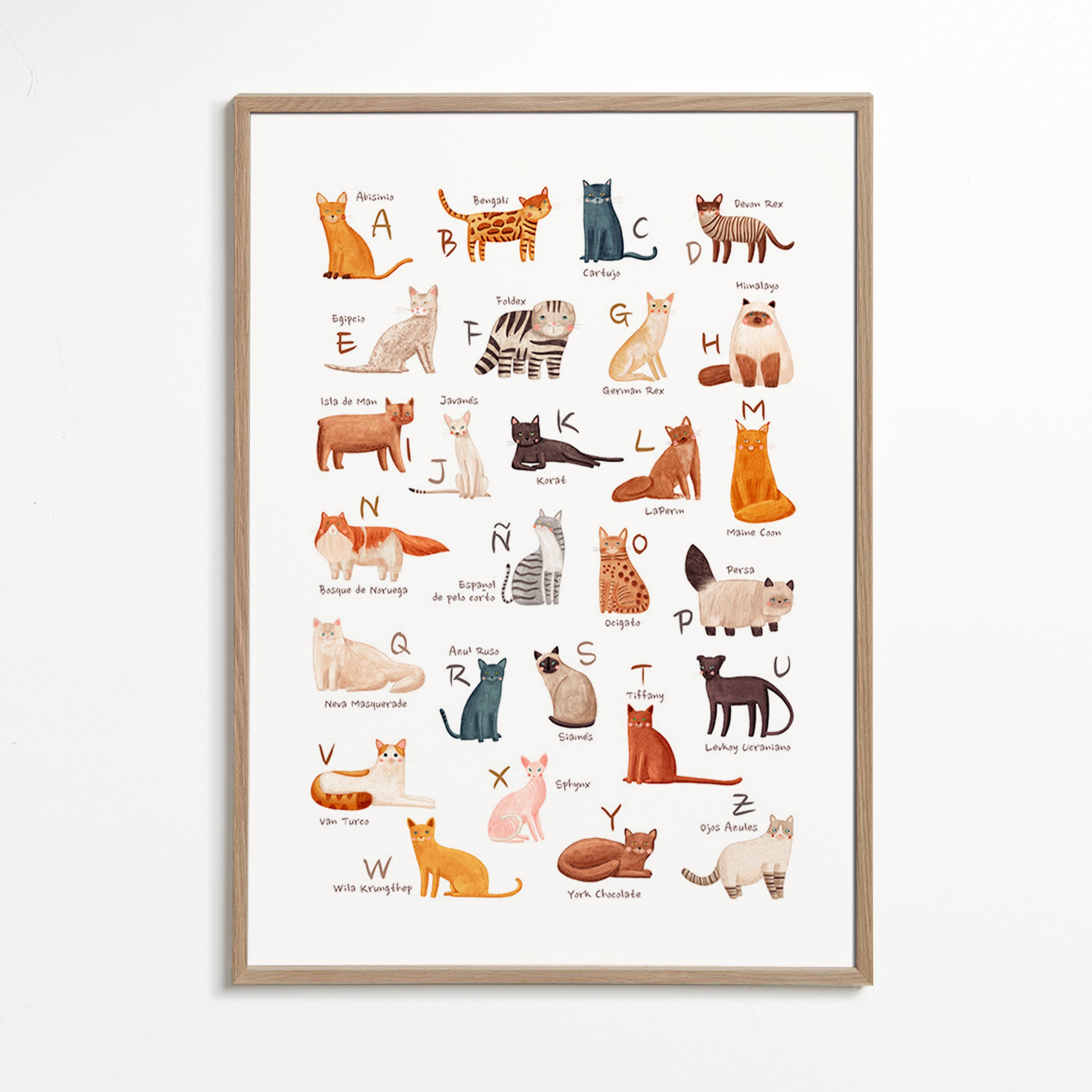 Lâmina infantil Alfabeto de gatos ilustrado