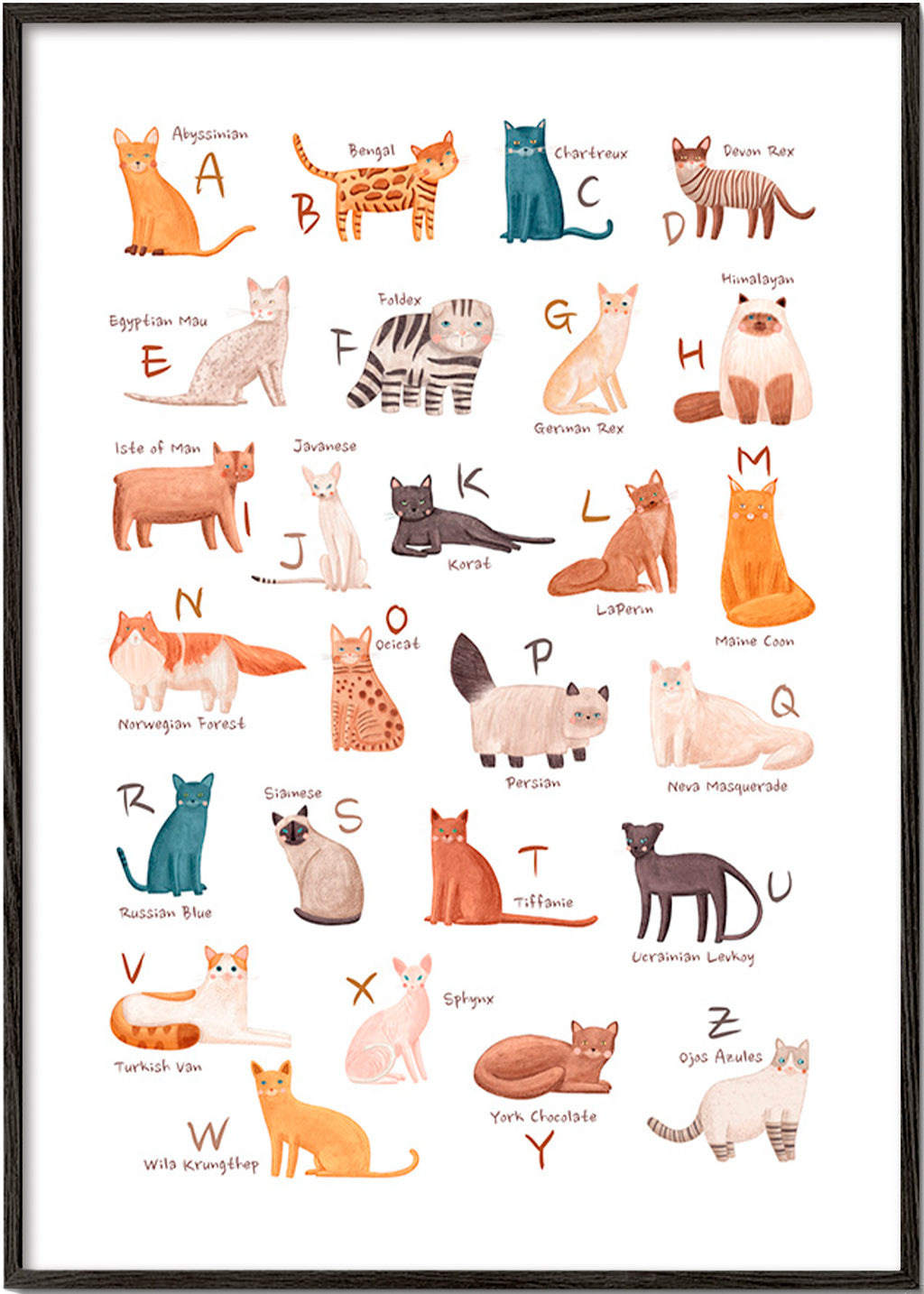 Lâmina infantil: alfabeto de gatos ilustrados