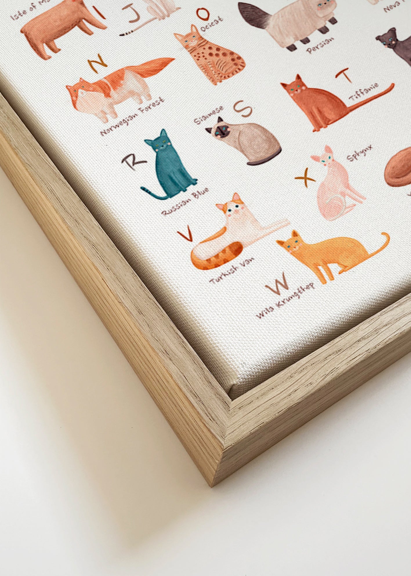 Lâmina infantil: alfabeto de gatos ilustrados