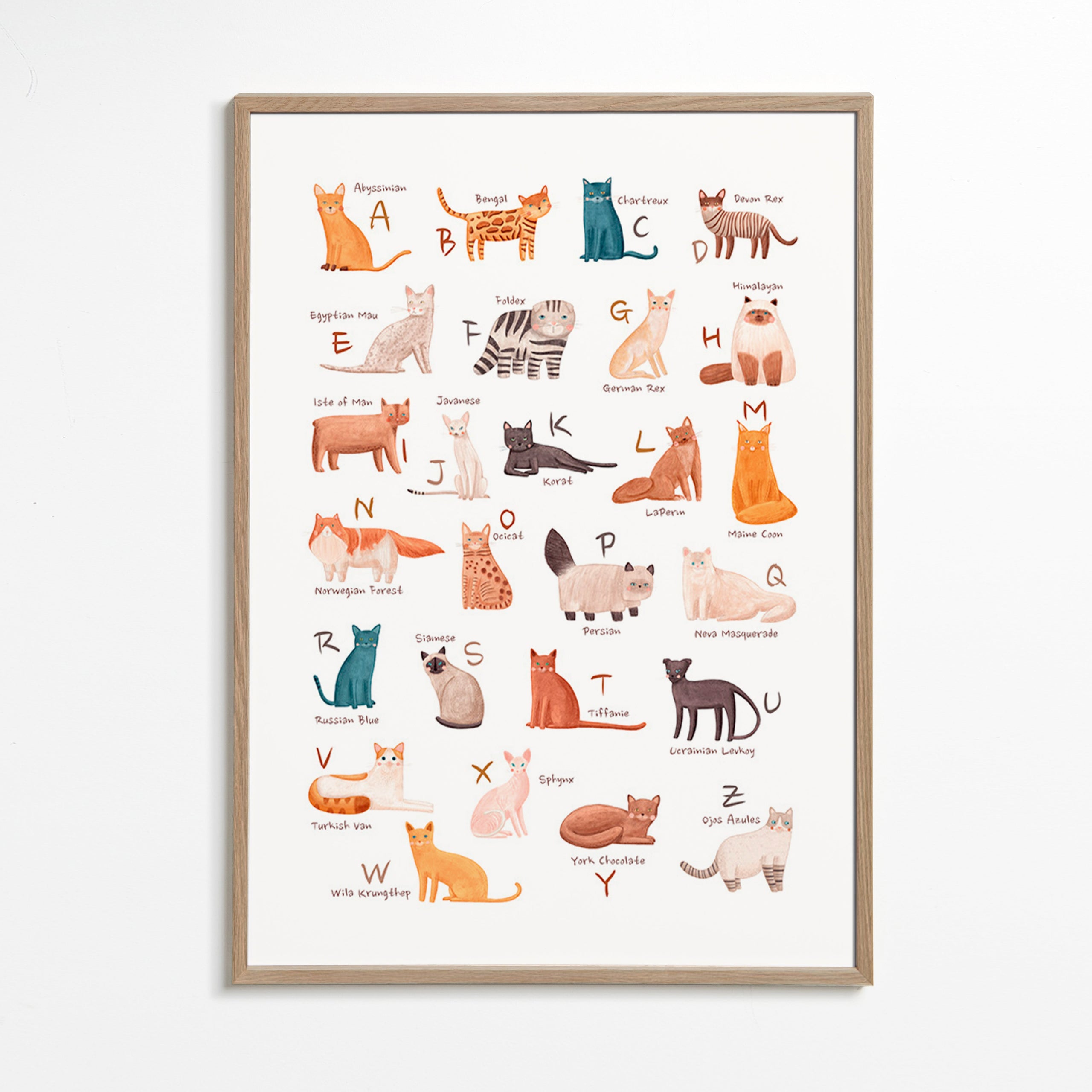 Lâmina infantil: alfabeto de gatos ilustrados