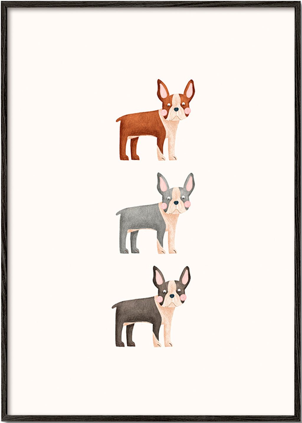 Quadro Três Boston Terrier