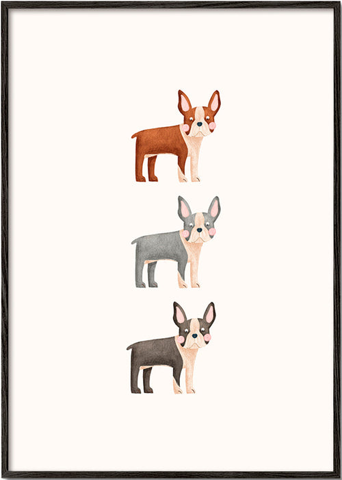 Quadro Três Boston Terrier