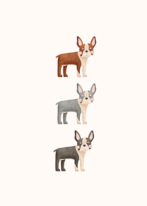 Quadro Três Boston Terrier