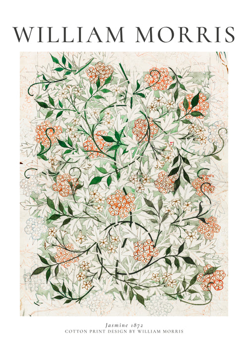William Morris Jasmine - Unframed art print