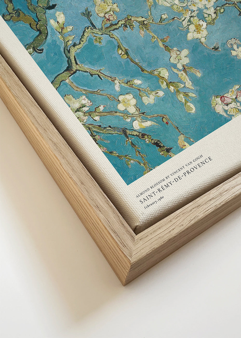 Estampa botânica: flor de amendoeira em azul