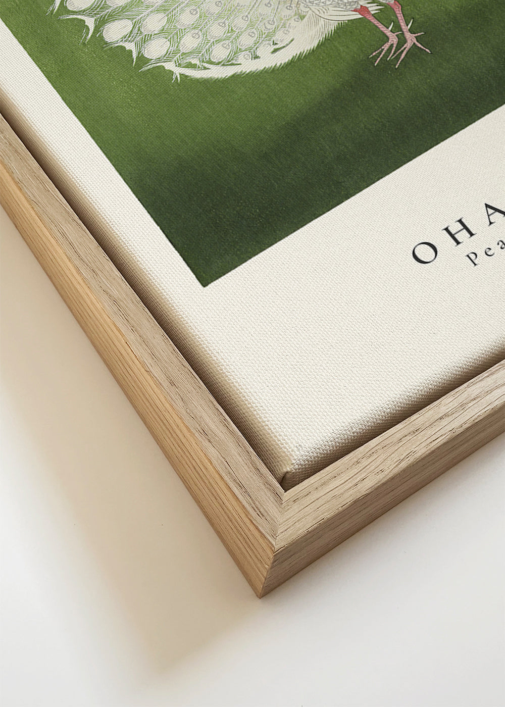 Quadro pavão japonês com cauda aberta
