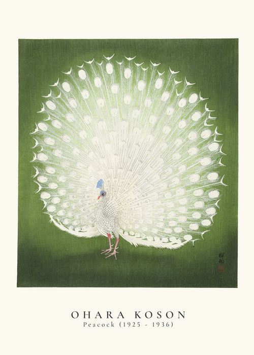 Quadro pavão japonês com cauda aberta