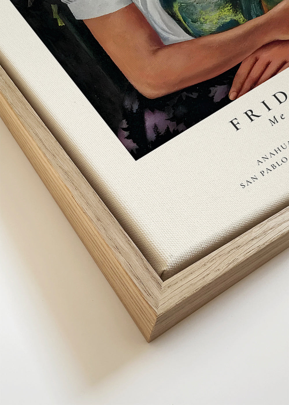 Obra Frida Kahlo com papagaios
