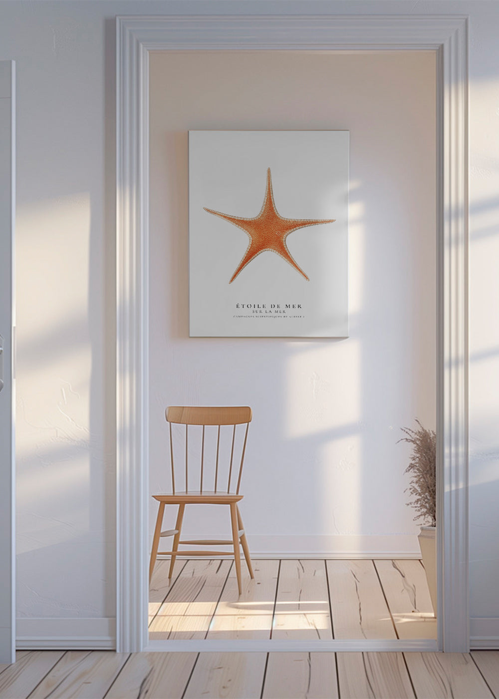 Starfish (Étoile de mer) I - Sealife Collection