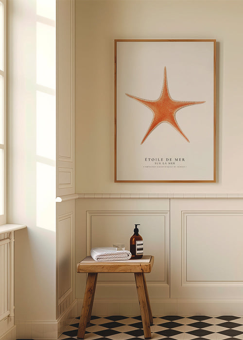 Quadro Estrela-do-mar — ilustração científica minimalista