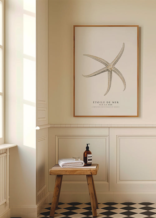 Quadro de estrela-do-mar em estilo científico