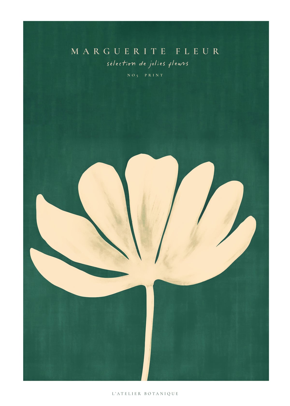Daisy Flower (Marguerite Fleur) - Unframed art print
