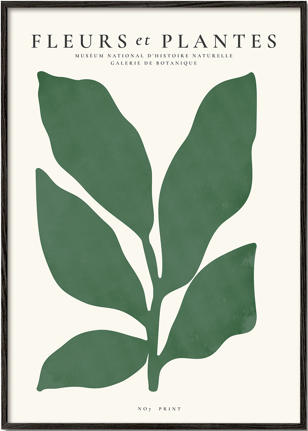 Estampa botânica folha verde minimalista