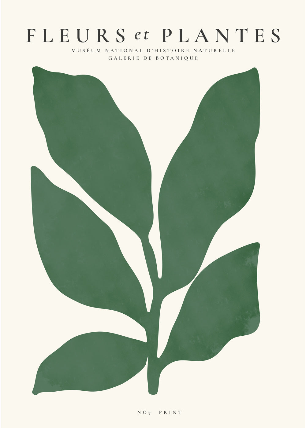 Estampa botânica folha verde minimalista