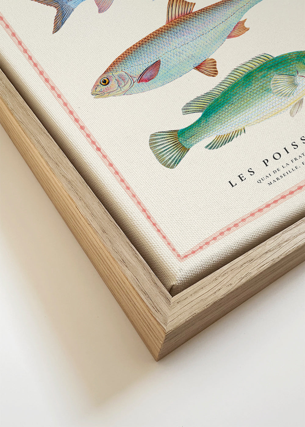 Arte para cozinha: prancha naturalista de peixes