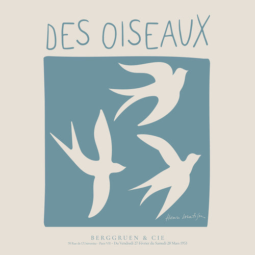 Ilustração Des Oiseaux em bloco azul