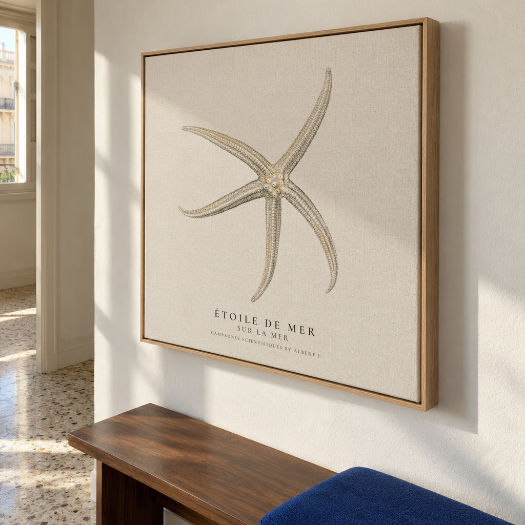 Starfish (Étoile de mer) II - Sealife Collection - SQUARE - Framed canvas in an interior
