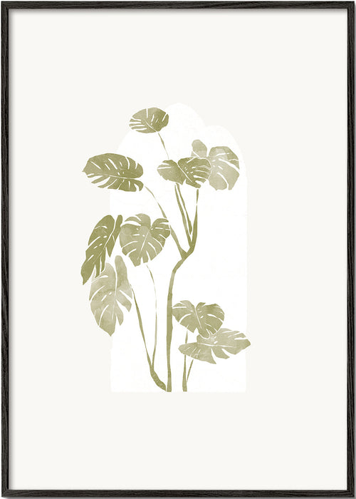 Estampa botânica monstera estilizada