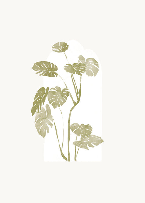 Estampa botânica monstera estilizada