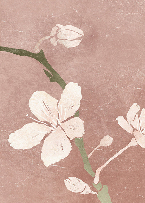Estampa botânica flor rosa
