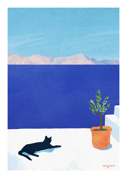 Quadro gato preto em terraço ensolarado