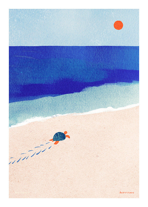 Ilustração tartaruga na praia