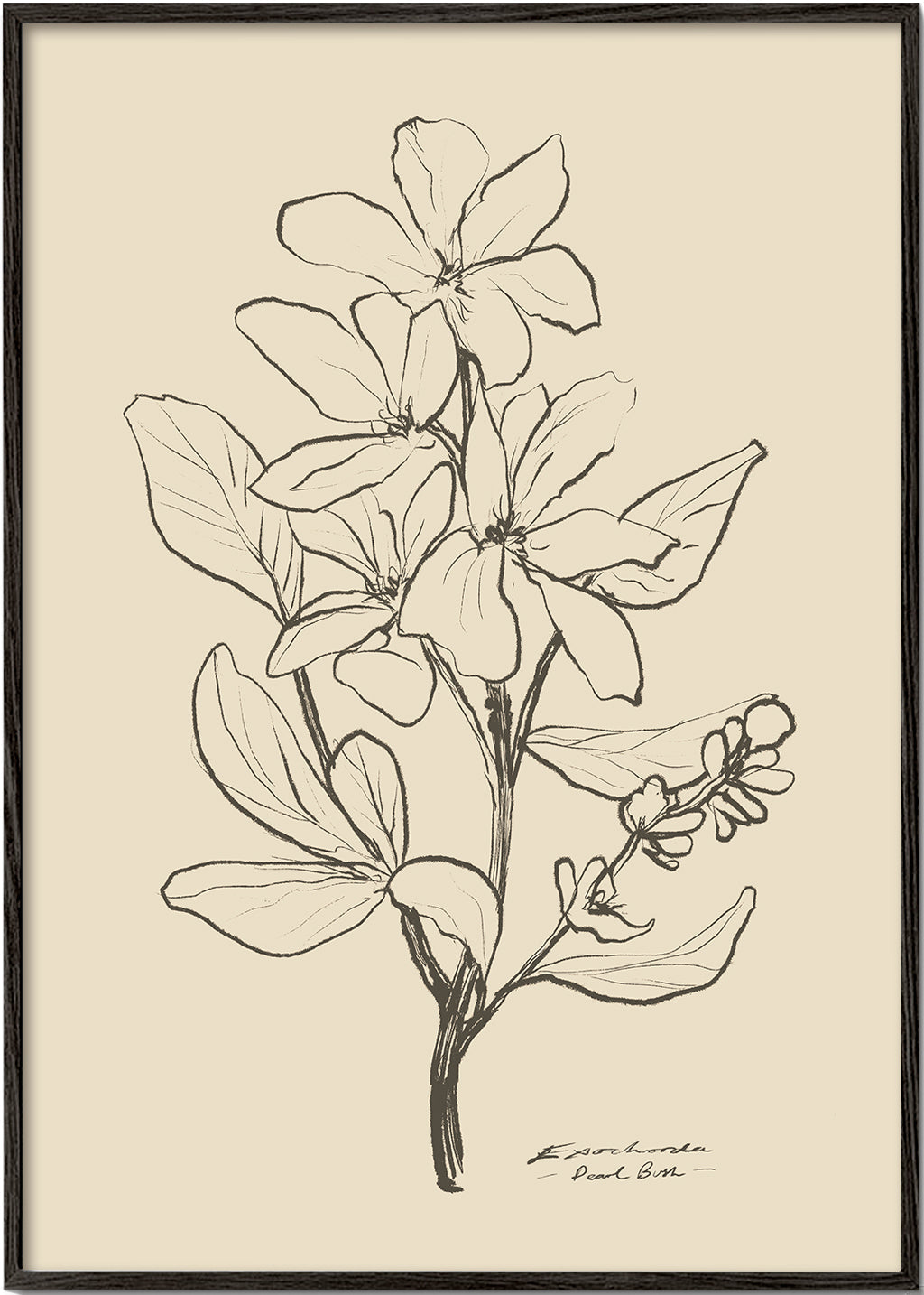 Floral 1