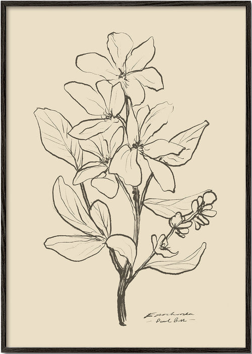 Estampa botânica — flor em traço linear