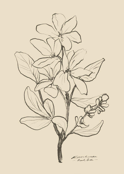 Estampa botânica — flor em traço linear