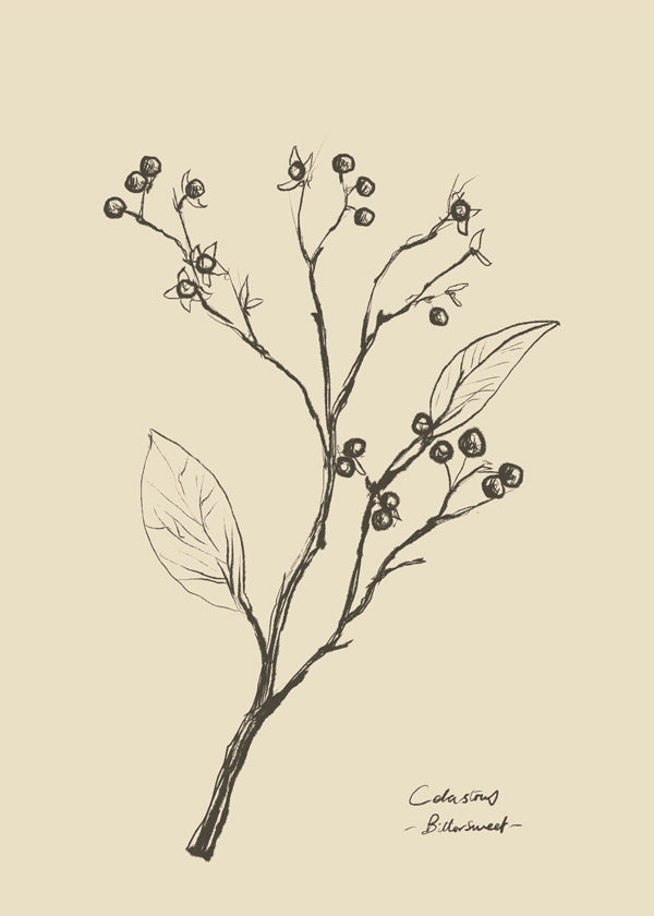 Floral 2